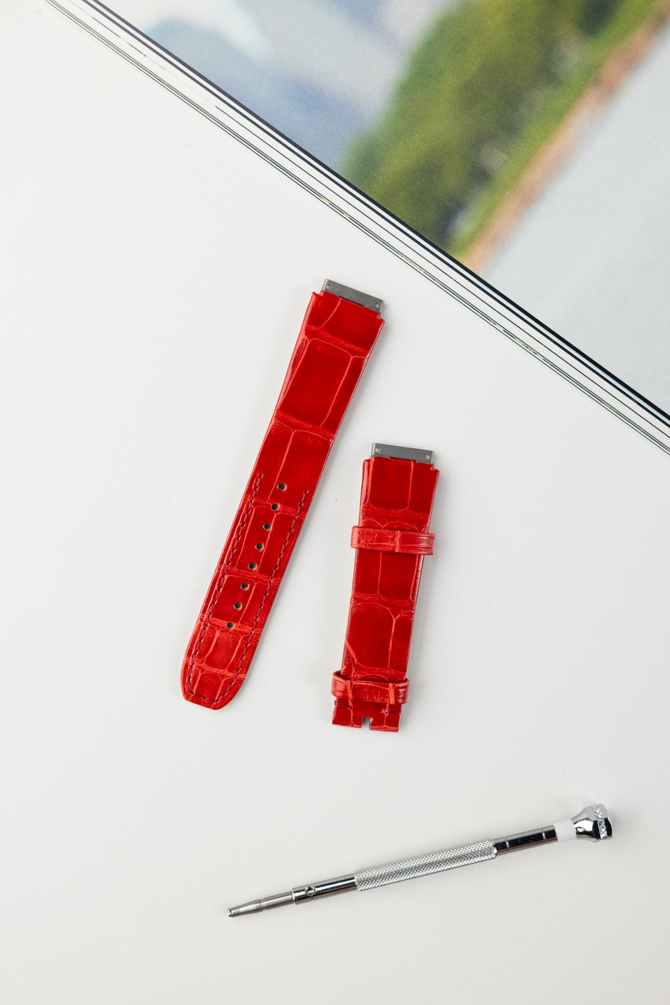 RM07 (Alligator)