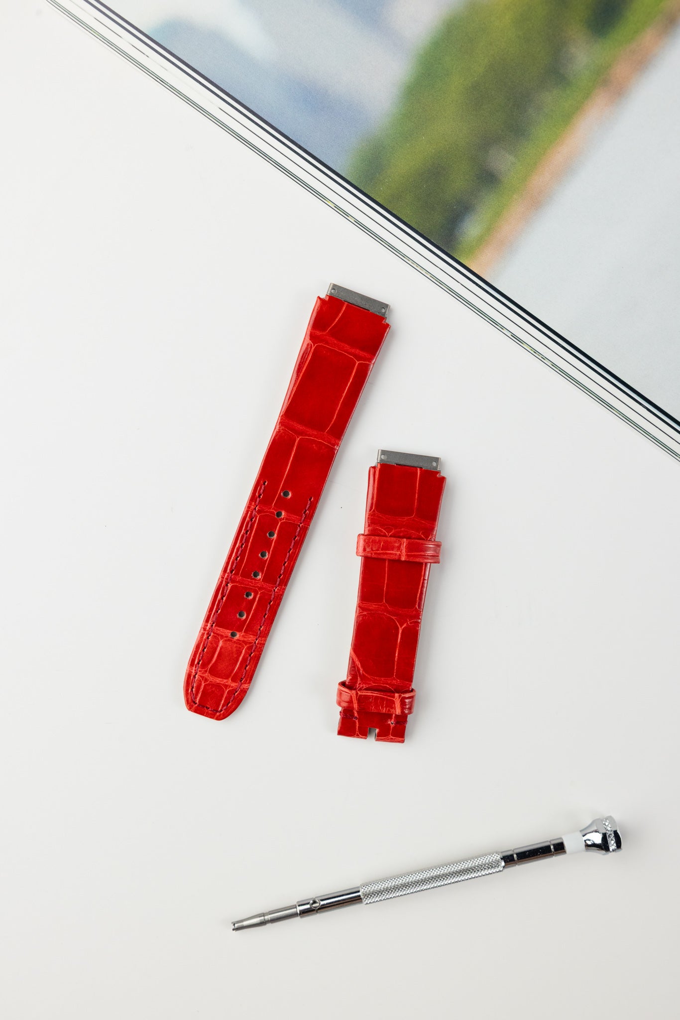 RM07 (Alligator)