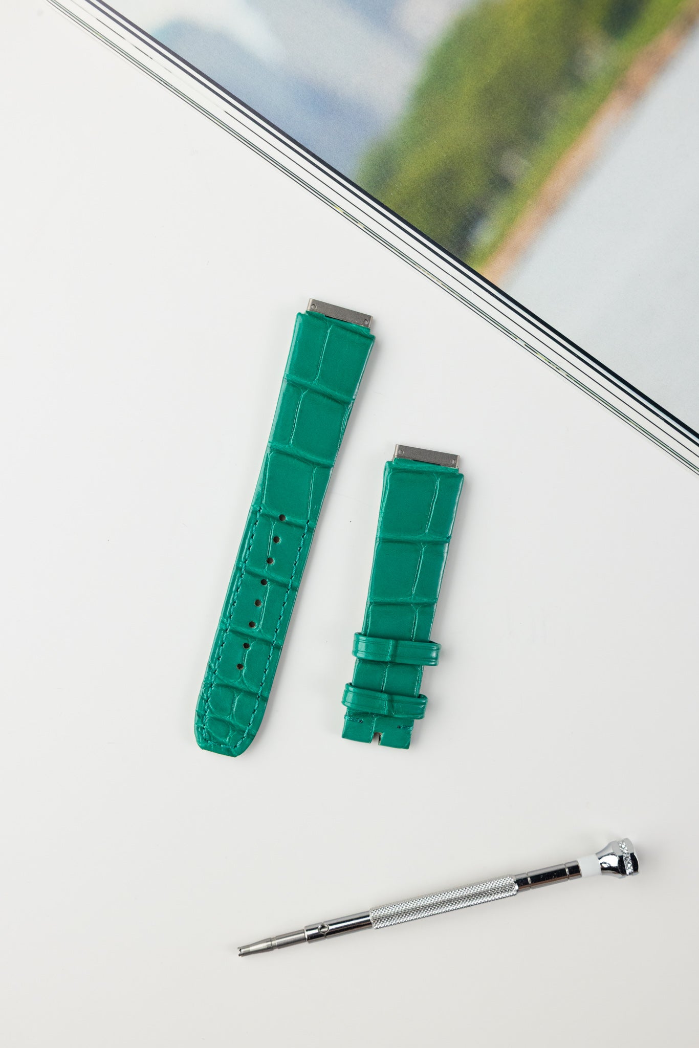 RM07 (Alligator)