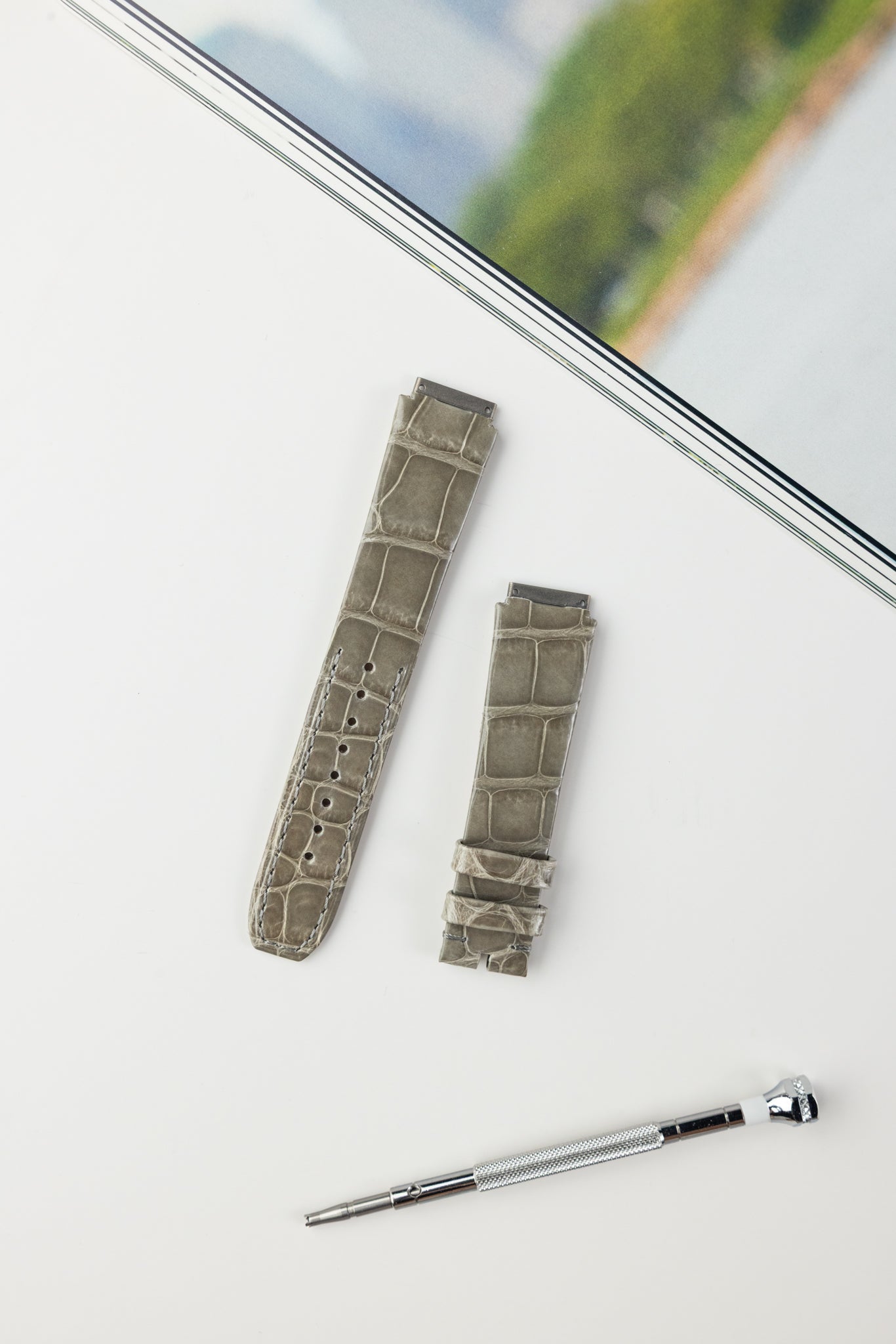 RM07 (Alligator)