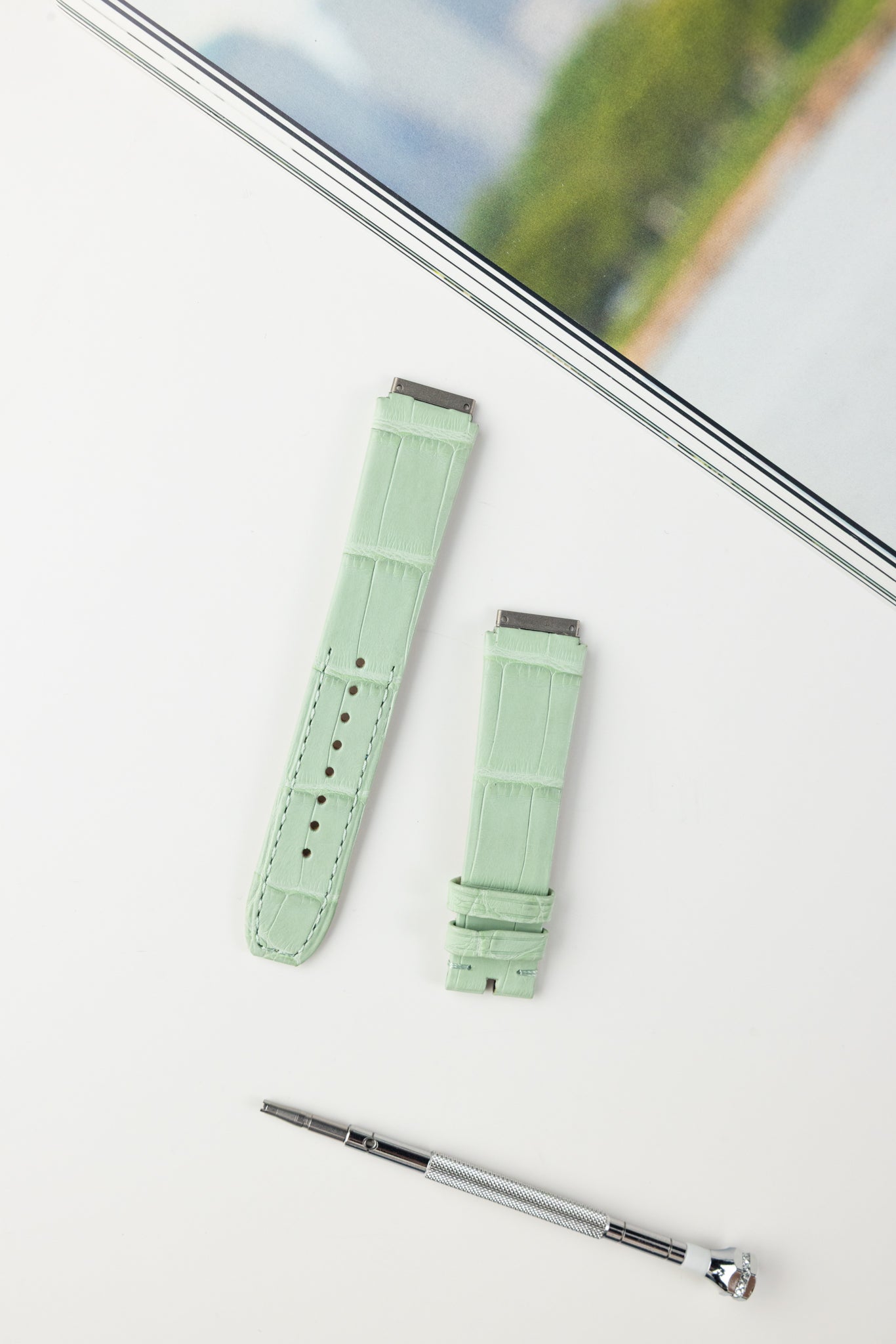 RM07 (Alligator)
