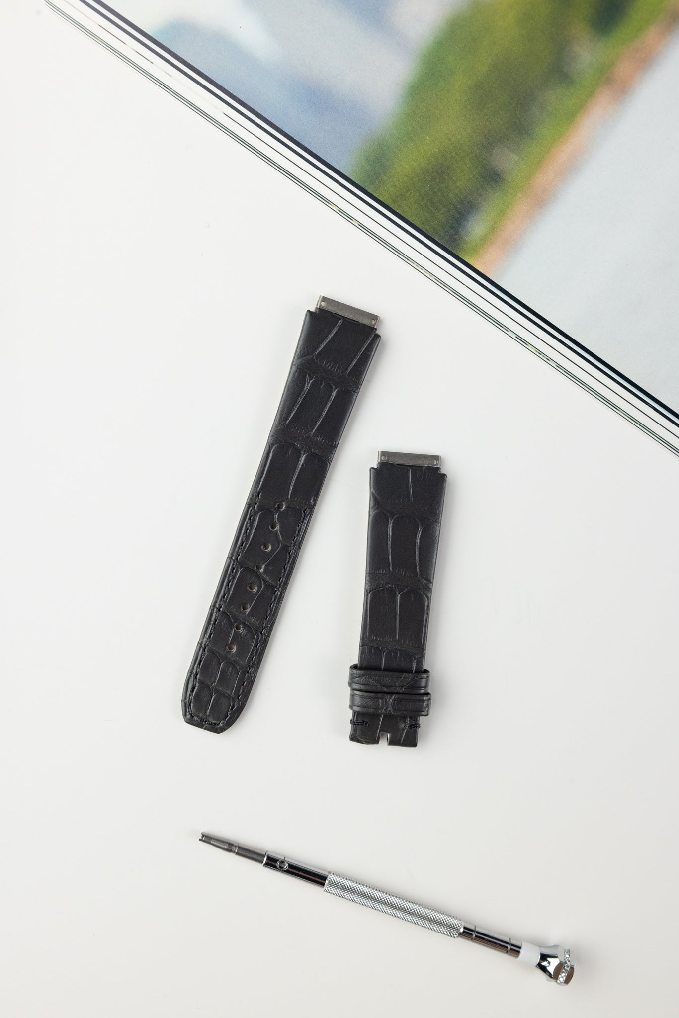RM07 (Alligator)
