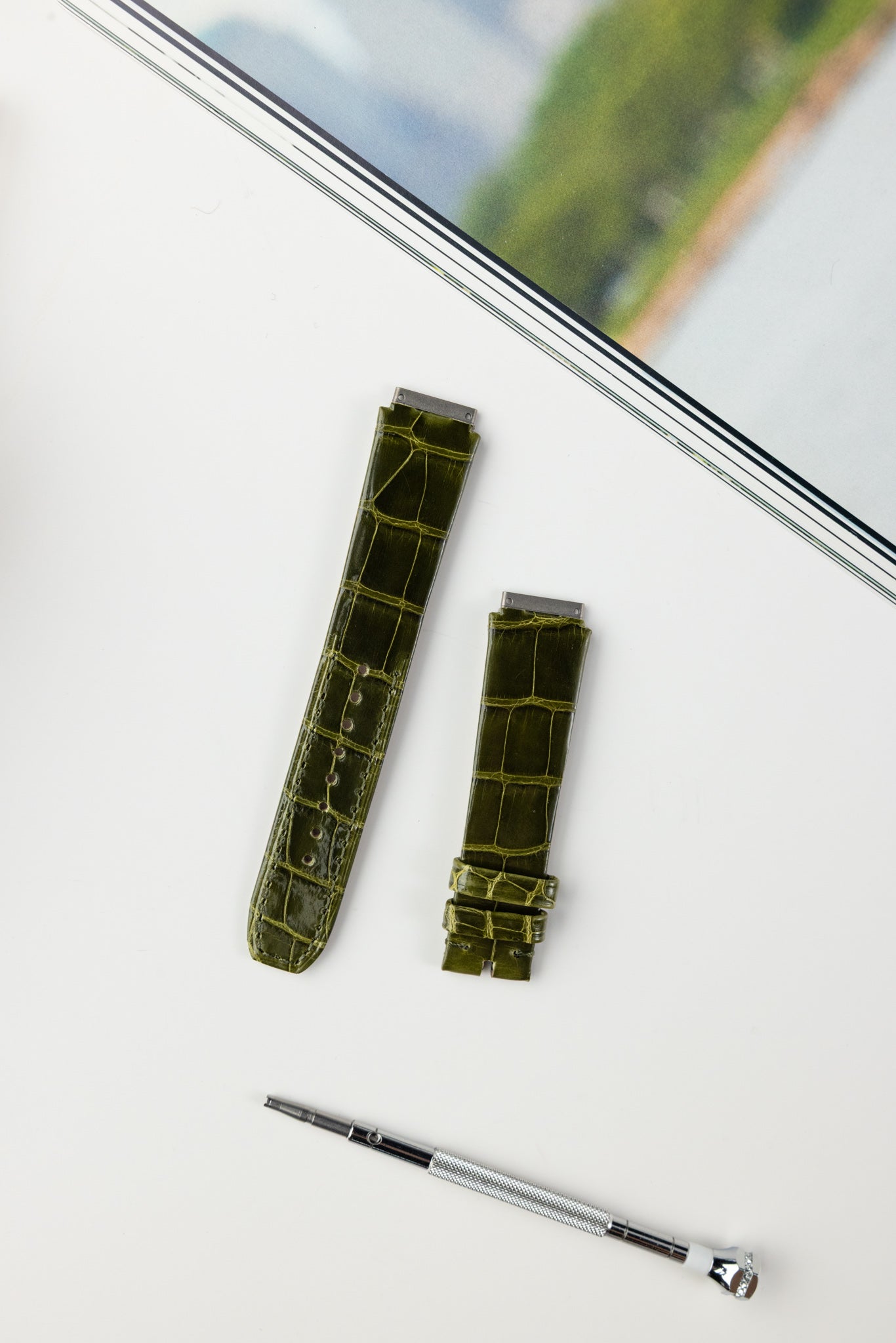 RM07 (Alligator)