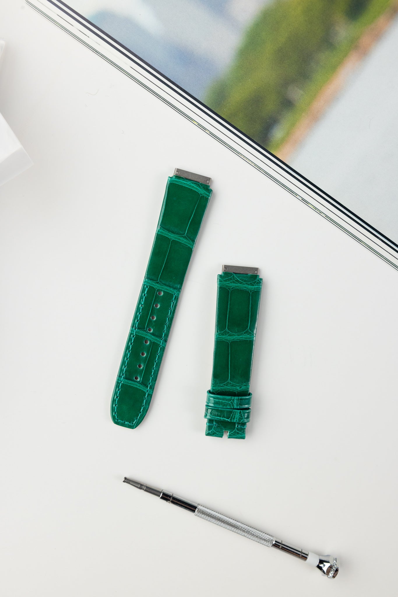 RM07 (Alligator)