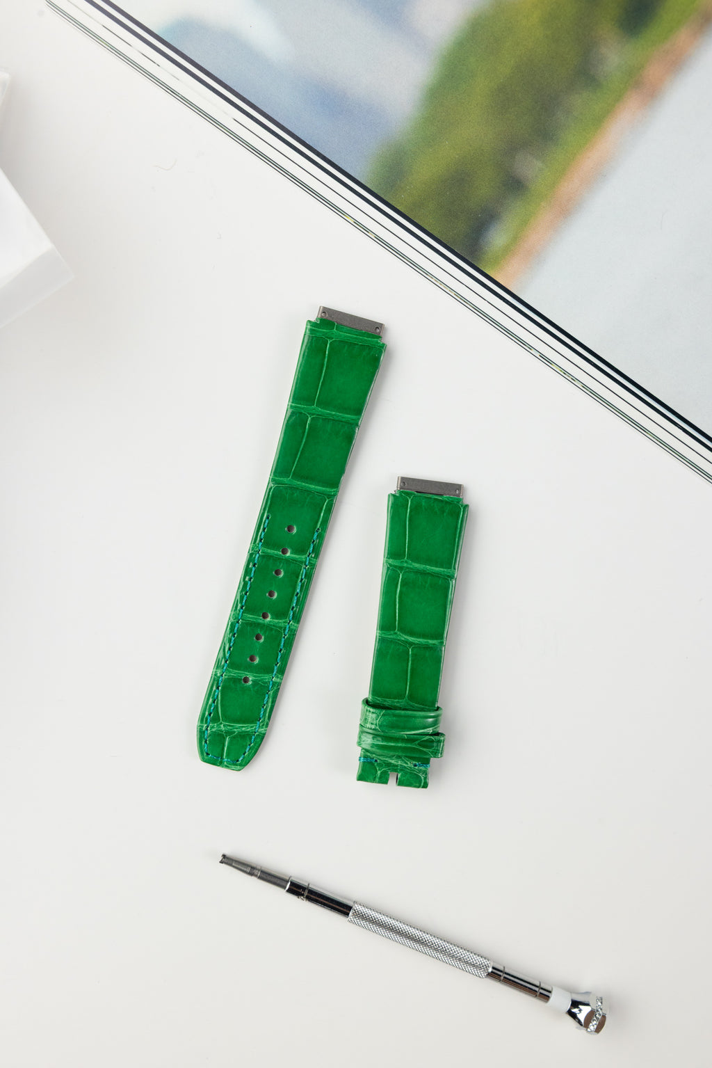 RM07 (Alligator)