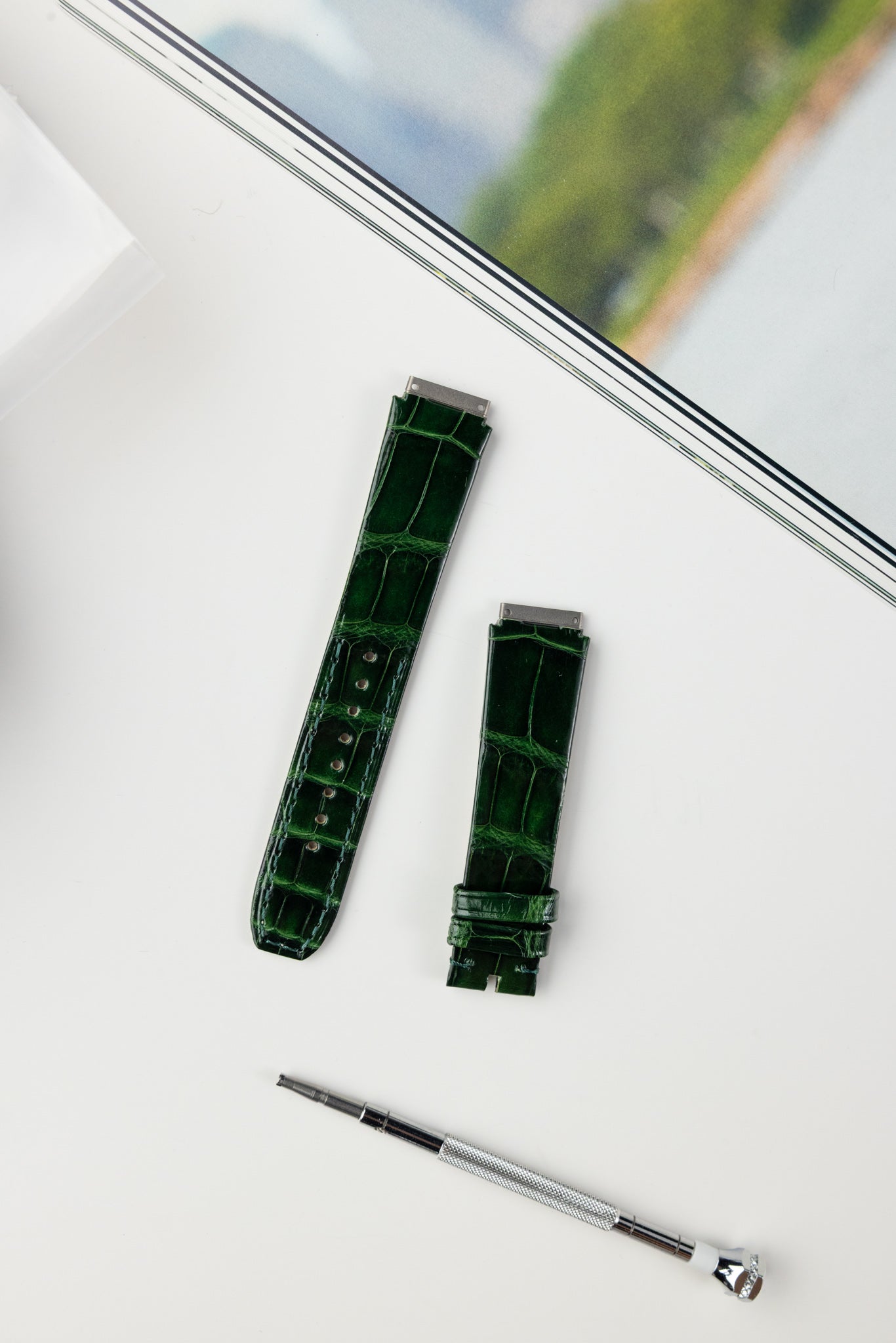 RM07 (Alligator)