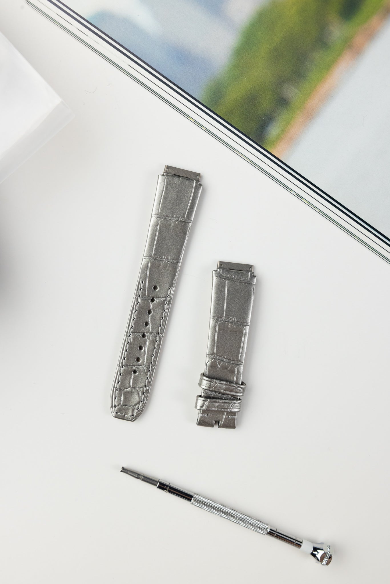 RM07 (Alligator)
